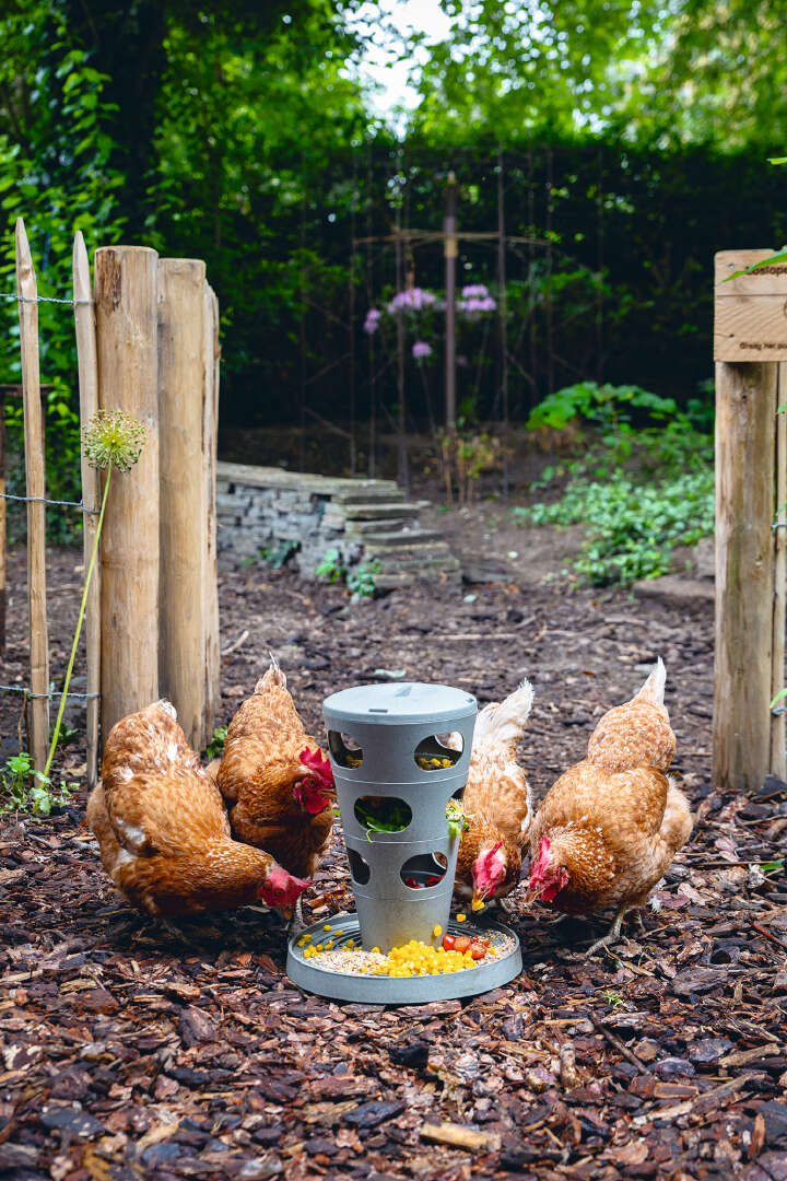 beeztees Hühner Futterturm